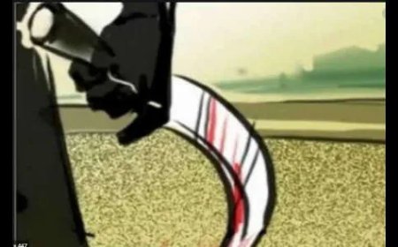 Chakan Crime ||​"नाणेकरवाडी हादरली! डोक्यावर वार, हातात कोयता अन् लोकांची पळापळ; हल्लेखोर पांचाळ पोलिसांच्या जाळ्यात."