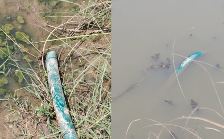 अड्याळ परिसरात पुन्हा चोरट्यांच्या हैदोस एक हजार फूट केबल आणि दोन मोटारी चोरांनी केल्या लंपास...