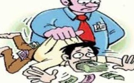 Financial Fraud || भैरवनाथ पतसंस्थेचा ६ कोटी ५३ लाखांचा 'महाघोटाळा'; ३६ जणांच्या संचालक टोळीवर उत्तर चाकण पोलिसांत गुन्हा दाखल.!