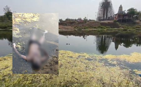दोन दिवसांपासून बेपत्ता असलेल्या युवकाचा चुलबंद नदीत आढळला मृतदेह...