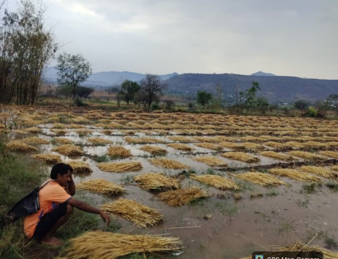 Khed Rain Update || खेडच्या पश्चिम पट्ट्यात अवकाळीचा हाहाकार; चिखलगाव परिसरात पिके जमीनदोस्त, शेतकऱ्यांकडून तातडीच्या पंचनाम्यांची मागणी..!