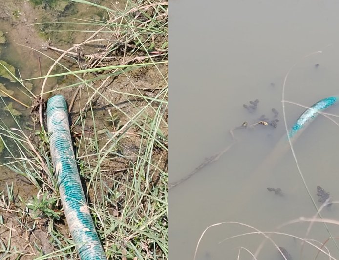 अड्याळ परिसरात पुन्हा चोरट्यांच्या हैदोस एक हजार फूट केबल आणि दोन मोटारी चोरांनी केल्या लंपास...