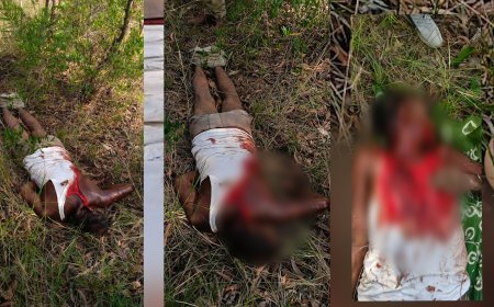 वाघाचा हल्ला.! पत्नीच्या डोळ्यांदेखत पतीला केले ठार... परिसरात प्रचंड दहशत...