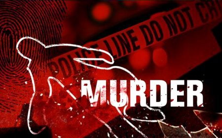 Murder Update || "शेलूगावात रक्ताचा सडा! पतीकडून पत्नीची हत्या, आत्महत्येने संपला संसार; पोलिसांकडून तपास सुरू."