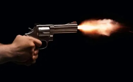BIG BREAKING || मोई गावात टोळीचा धुमाकूळ: गाडीची तोडफोड करत पिस्तुलातून गोळीबार; दक्षिण व उत्तर महाळुंगे पोलिसांची धडाकेबाज कारवाई..!