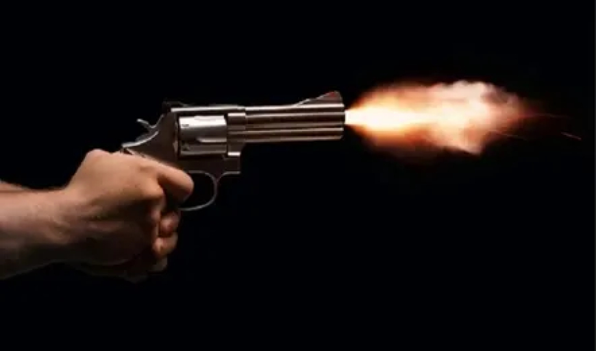 BIG BREAKING || मोई गावात टोळीचा धुमाकूळ: गाडीची तोडफोड करत पिस्तुलातून गोळीबार; दक्षिण व उत्तर महाळुंगे पोलिसांची धडाकेबाज कारवाई..!