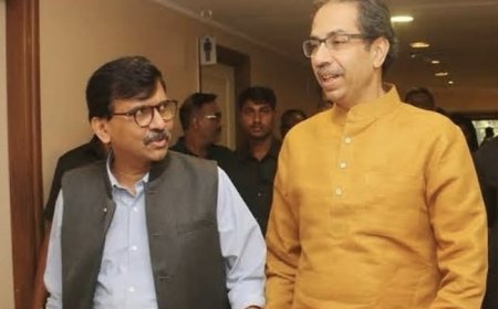 राजकीय आरसा || वाघाची ओळख गर्जनेने नाही, तर लढाईने होते: शिवसेनेच्या वाटचालीवर आत्मचिंतनाचा आरसा!